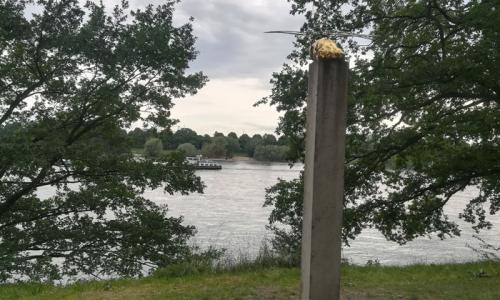 Ein kunstvoller Blick auf den Rhein. Foto: Antje Schlenker-Kortum