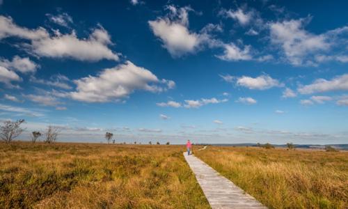 Foto: Tourismusagentur Ostbelgien