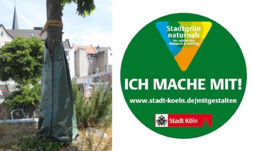 Wassersäcke helfen dem Stadtgrün. Foto: Stadt Köln