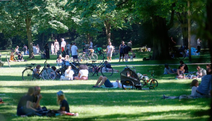 Lässiger Aufenthalt auf dem Rasen. Foto: Henning Kaiser