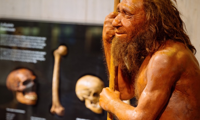 Im Foyer des Museums werden die Besuchenden von einem freundlichen Neandertaler begrüßt. Foto: © Neanderthal Museum