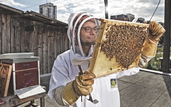 Auf den Dächern Kölns brummt es mächtig. Hobby-Imker Frank  Methien ist zufrieden, seine Bienen sind gesund und fleißig. Foto: Sebastian Knoth