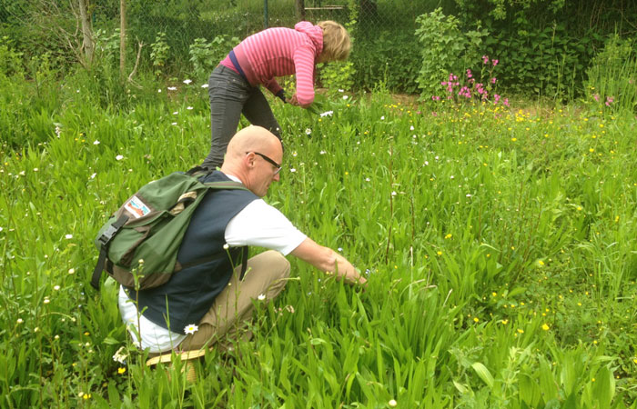 Ein Chutney aus Löwenzahn, eine Suppe aus Brennnessel, ein Salat aus Giersch und Gänseblümchen – schon der Spaziergang und das Sammeln der Kräuter gehören zum Genuss. Foto: www.wilderwegesrand.de